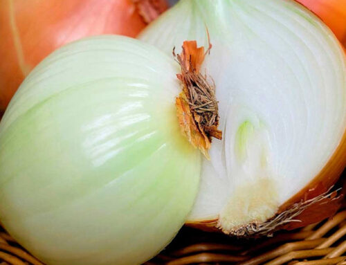 Os benefícios da cebola e a sua utilização na culinária